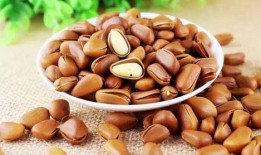 水煮松子五香最新爆料,独家揭秘美食背后的故事