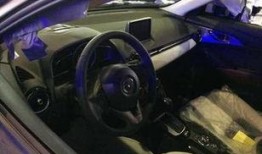 海鸥内饰爆料视频大全最新,视频大全带你领略极致工艺与美学