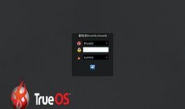 bsd最新爆料,揭秘科技巨头新动向与行业变革